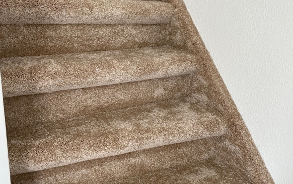 Dichte trap bekleden met tapijt