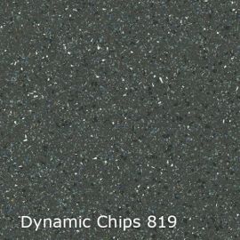 Dynamic Chips – 744819