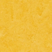 Marmoleum click Lemon Zest Squares 333251