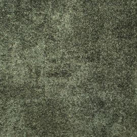 Interfloor tapijt Myscrete kleur Groen 819