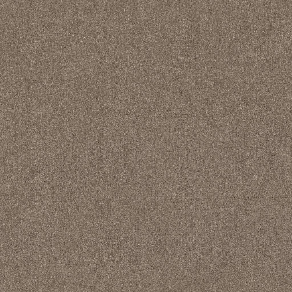 Tapijt taupe trapgeschikt actie - ART Woninginrichting Tapijt taupe trapgeschikt actie - ART Woninginrichting